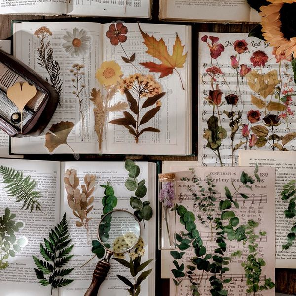 

10 sheets/pack vintage pet sticker flower plant sticker diy scrapbooking sticker diary album stationery planners decoration