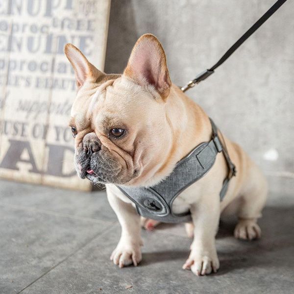 

dog leash x-shaped chest protector strap pet teddy pomeranian bichon small and medium-sized dogs anti-strike walk collars & leashes