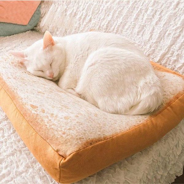 

sponge sofa cushion winter cat bed house simulation donut toast soft pillow mats kitten products for pets indoor dog accessories beds & furn