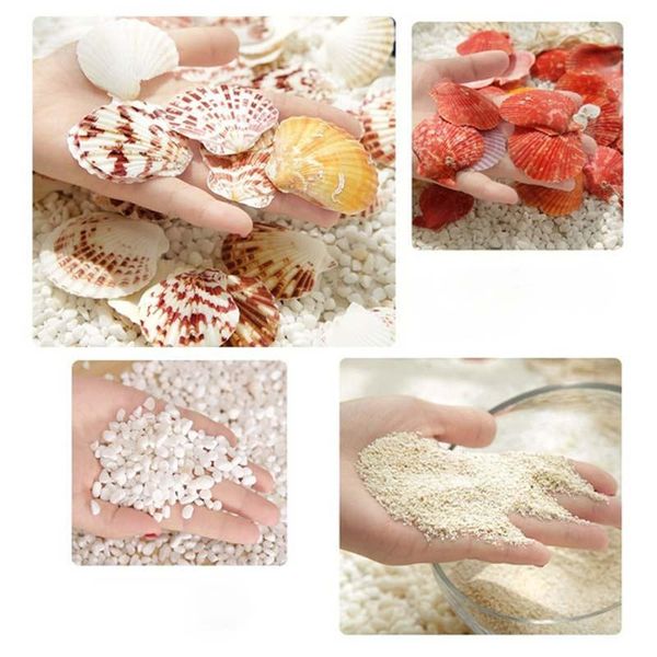 

decorations natural shell rice conch green screw wwhite cat's eye axe aquarium landscape decoration shooting props home