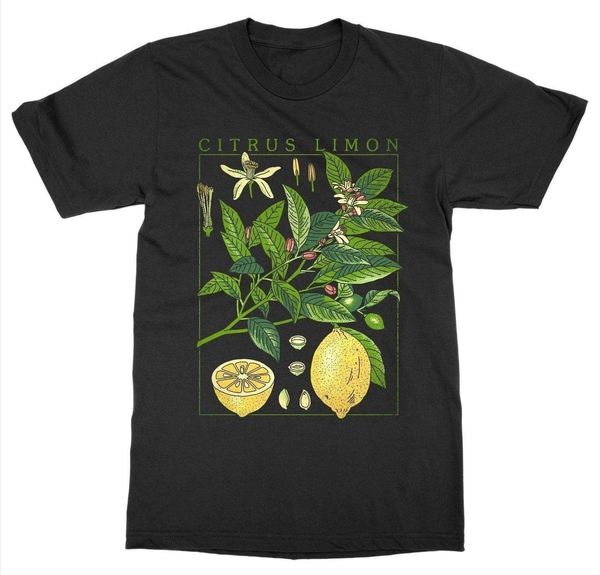

queen xsx lemon plant women t shirts short sleeve o neck botanical garden print art botany bloom fruit flower cotton, White