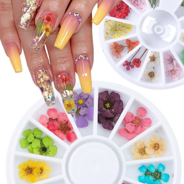 

24pcs/wheel 3d dried flower nail art decoration blossom daisy floral leaf slider polish sticker summer manicure tools jixhd-11, Silver;gold