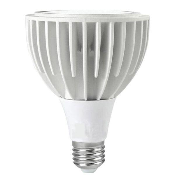 

bulbs 30w e27 cob 30 led light bulb lamp ac85v-265v spotlight indoor lighting