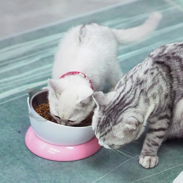 

stainless steel anti-slip cat water bowel stand dish dog neck protection tilted feeder pet dogs cats a bowls & feeders