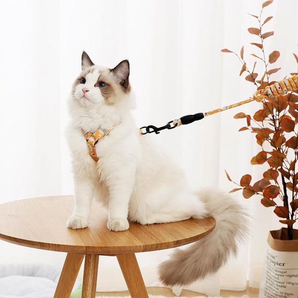 

cat collars & leads spring and summer pet traction rope vest-style chest harness outdoor