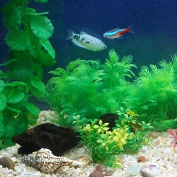 

1pc fish tank aquarium artificial green water grass viewing decorations underwater plastic ornaments aquatic pet supplies