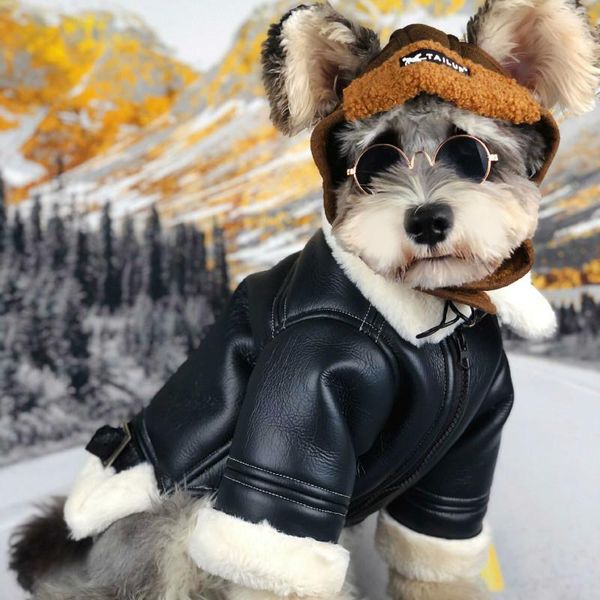 

dog apparel black lapel zipper leather jacket lambskin warm clothing schnauzer's coat thick cats are also suitable christmas