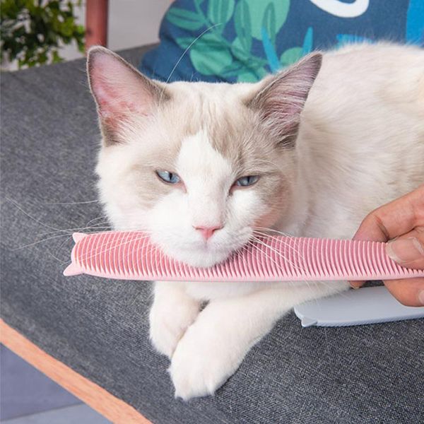 

cat toys pet brush tongue comb for massage and shedding simulated dogs cats with long or short hair