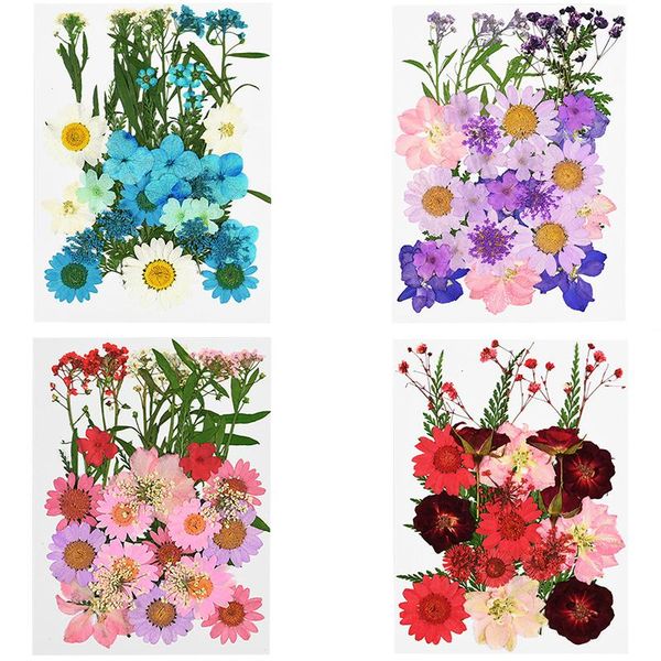 

decorative flowers & wreaths 1 bag dried small scrapbooking dry flower diy preserved wedding party home decoration