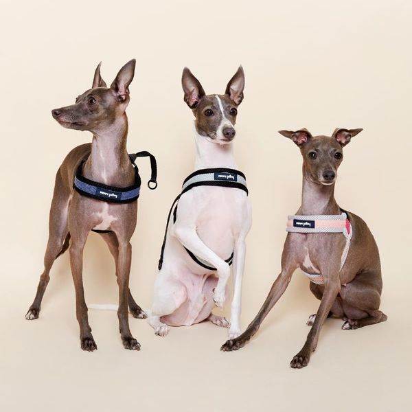 

lightweight small-large dog harness leads greyhound doberman golden retriever leash vest-style accessories collars & leashes