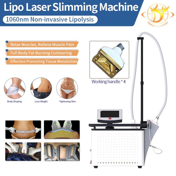 

1060nm body slimming laser diode burning fat reduction weight reduce beauty equipment for home and salon203