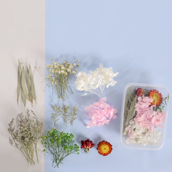 

natural dried flower diy accessories handmade crafts home decoration herbarium for pendant necklace jewelry filling materials