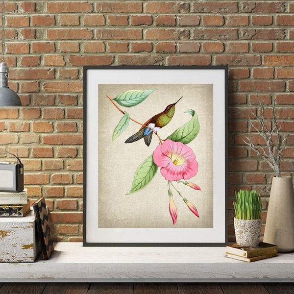 

wall stickers hummingbird and botanical art print vintage bird illustration poster decor retro kraft paper