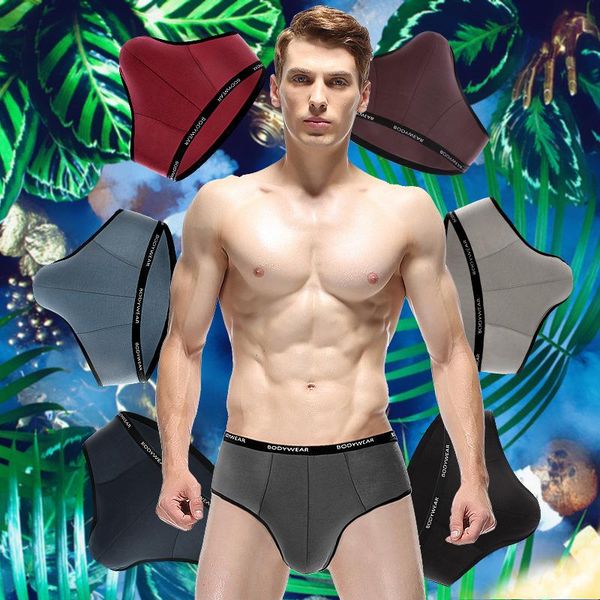 

Underpants NXY 2 PIECES Underwear Men's Briefs Youth Fiber Ice Modal, Black;white