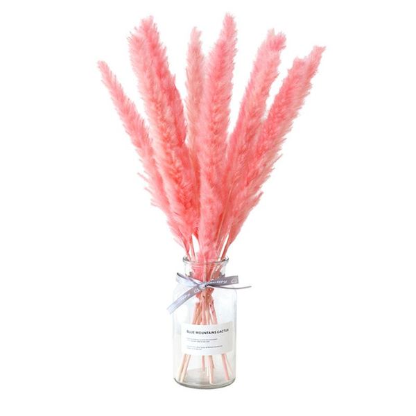 

decorative flowers & wreaths 2021 limited direct selling 15pcs decor wedding home small pampas reed grass dried natural bouquets phragmites