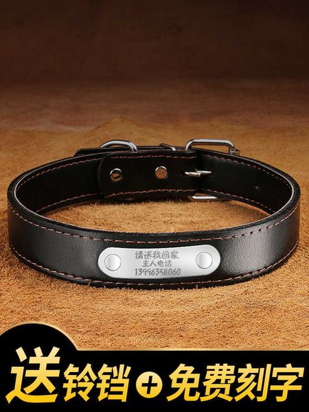 

factory anti lost tag lettering pet medium large collar small dog