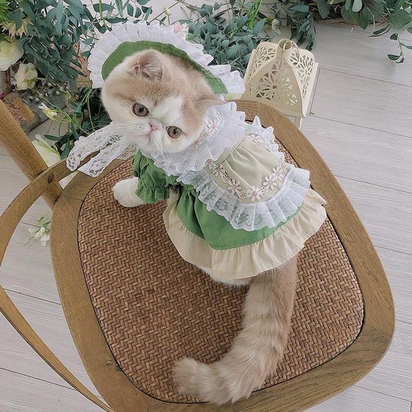

pet dog cat maid lolita dress skirt with hat costumes