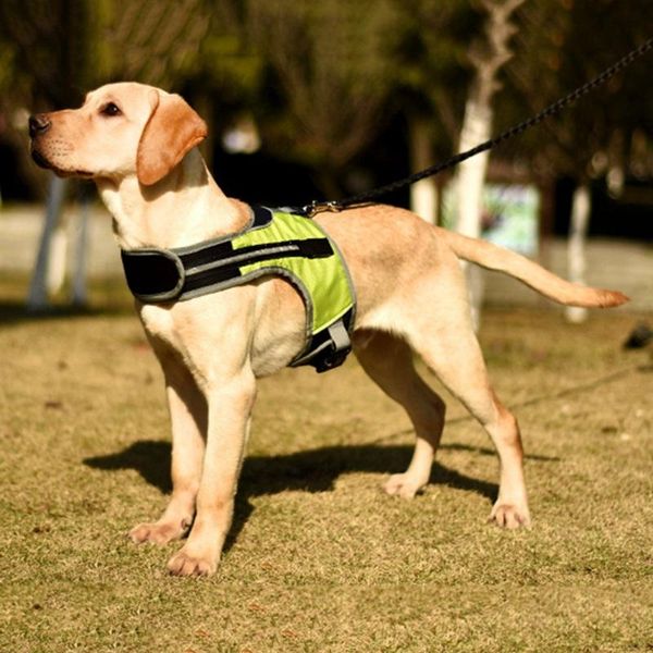 

dog collars & leashes harness nylon k-shaped luminous pet safety led product flashing light for medium and large dogs