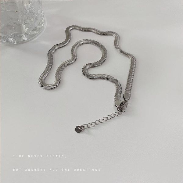 

chains simple necklace women fashion necklaces men snake chain long stainless steel charms jewelry trendy kpop metal halskette, Silver