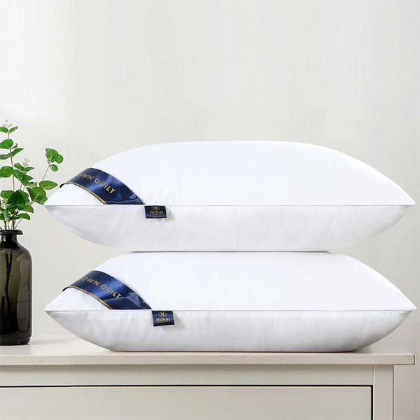 

pillow polyester bedding comfortable and breathable nursing cervical orthopedics slow rebound correction 48*74cm