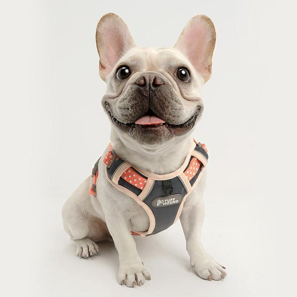 

dog collars & leashes reflective safety harness leash pet supplies