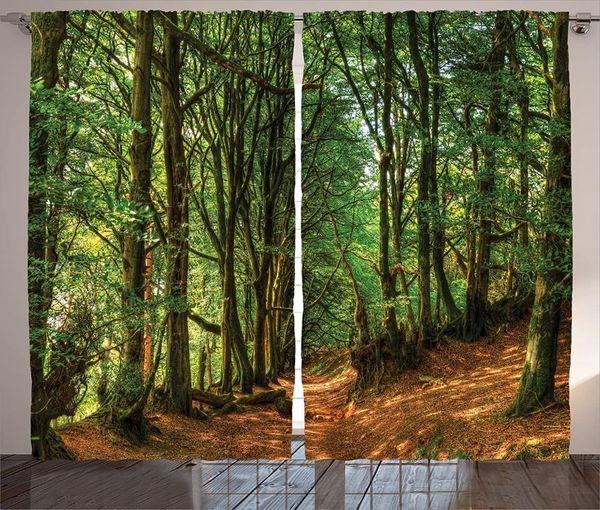 

curtain & drapes woodland decor curtains scene with trees and pathway foliage trunk greenery outdoor scenic picture bedroom