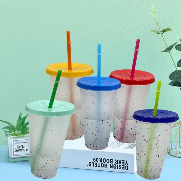 

mugs 700ml/710ml straw cup with lid logo color change coffee reusable cups plastic tumbler matte finish
