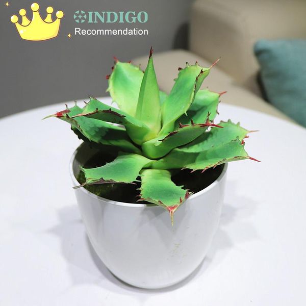 

- artificial succulent aloe star plant with vase desert plastic bonsai table decoration greenery decorative flowers & wreaths