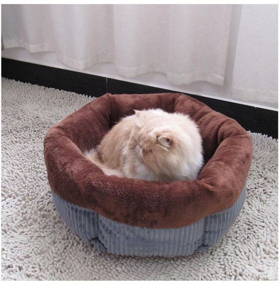 

cat beds & furniture small dog teddy pet kennel nest/four seasons universal/closed bed/sleeping bag/cat supplies/pet supplies