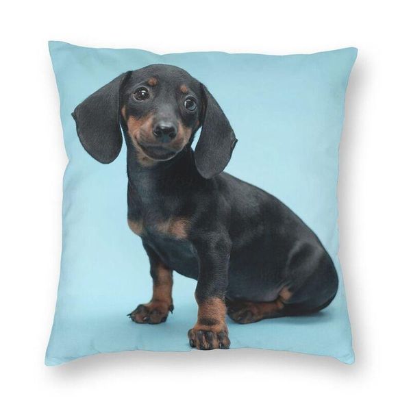 

vibrant dachshund pillow case home decor 3d double-sided print badger sausage the wiener dog cushion cover for car cushion/decorative