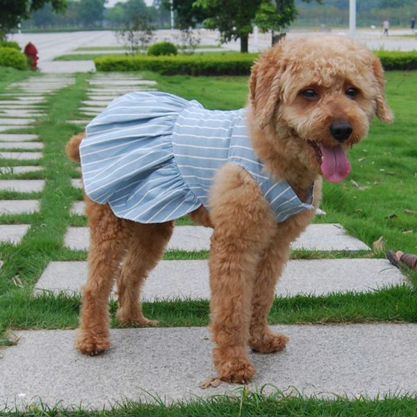 

pet print skirt summer dog thin lovely lady teddy bomei dress