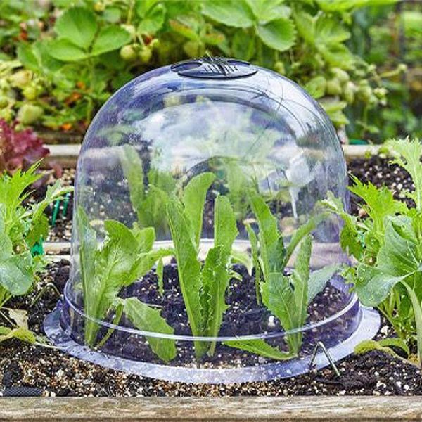 

planters & pots 5pcs garden cloche dome plant bell cover anti-e protection seeds germination frost guard with labels pegs