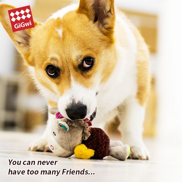 

Toys, Dog Gigwi Puppies, Awards Imitation Plush Toys