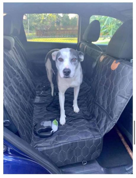 

detachable car pet pad dirt proof and waterproof rear dog kennels & pens