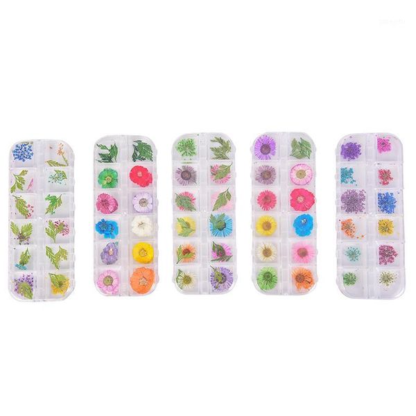 

natural dried flowers nail art decorations 3d daisy gypsophila preserved dry flower diy stickers manicure accessories 12 colors1, Silver;gold