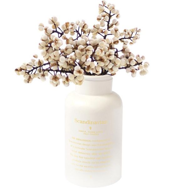 

decorative flowers & wreaths rushed real mini ginkgo 100g natural dried fruit mushroom grass flower for party decor vase no home