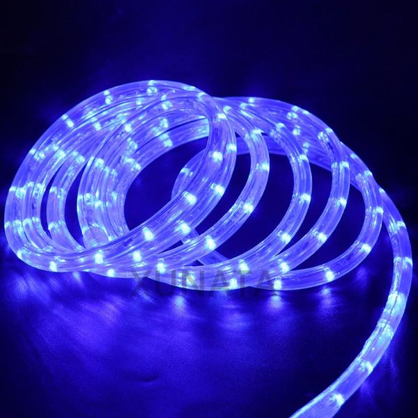 

strings 220v led strip waterproof neon light christmas outdoor rainbow tube rope
