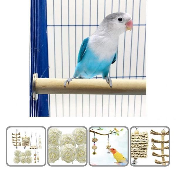 

other bird supplies training playing climbing toy pet birds cage set for love