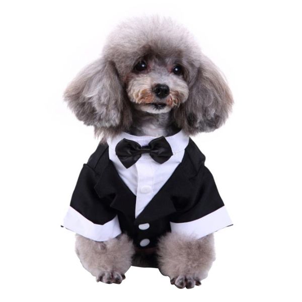 

dog apparel gentleman shirt puppy pet clothes costume fashion pets prince wedding formal tuxedo suit style for weddings cosplay