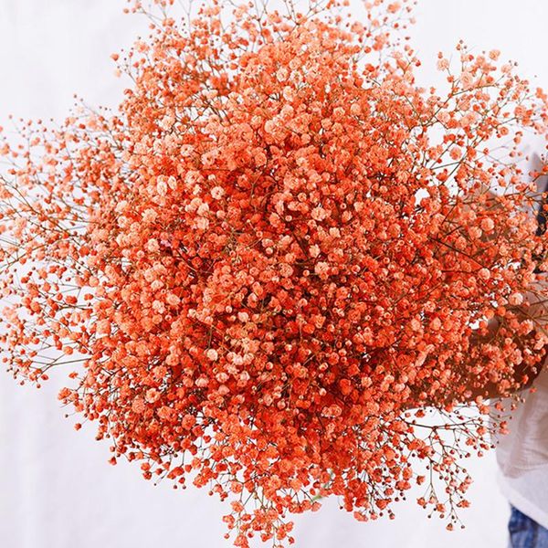 

decorative flowers & wreaths natural preserved gypsophila paniculata baby breath flower bouquets home decoration accessories wedding gifts f