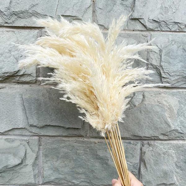 

decorative flowers & wreaths artificial pampas grass white dried reed bouquet for home room christmas decor wedding bunch
