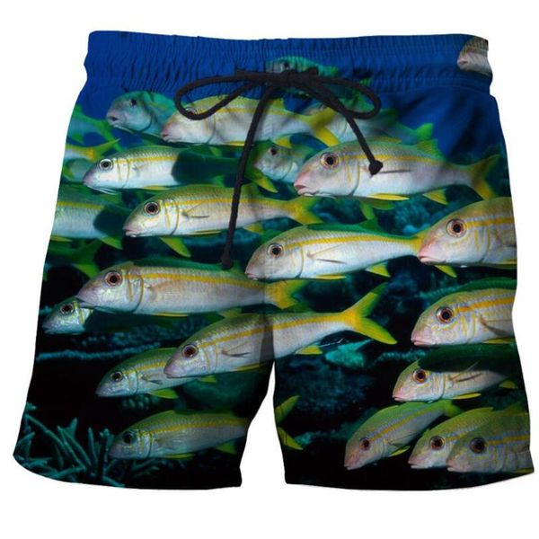 

drop usa size mens funny colorful fish beach shorts summer digital printing quick dry swim trunks workout motion men's, White;black
