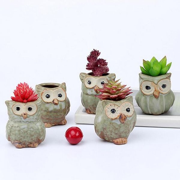 

flone artificial succulents flowers pots owls vase personality simple ceramics succulent resin fake plant home decor decorative & wreaths