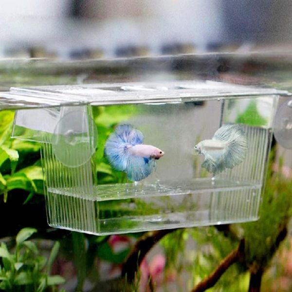 

aquariums home fish breeding breeder box aquarium baby hatchery isolation net tank incubator accessory