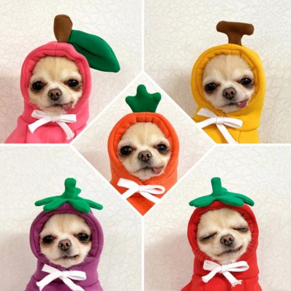 

funny fruit playing costume dog clothes chihuahua pug christmas halloween cat winter costumes