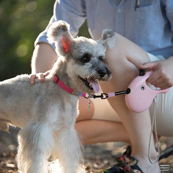 

dog collars & leashes leash rope retractable automatic flexible puppy cat big walking leads extending perros