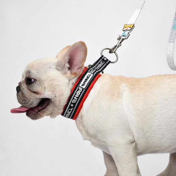 

dog collars & leashes