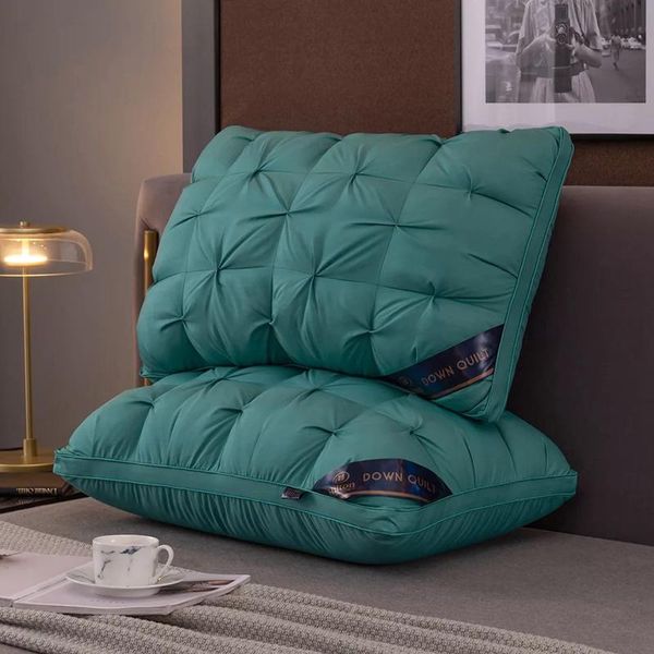 

pillow washed tencel feather cotton with storage bag five-star el inner washable bedding sleeping down pillows 48*74cm