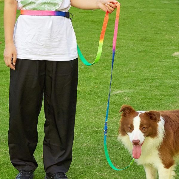

dog collars & leashes kangfeile nylon soft pet dogs chain traction rope leads with waist hands explosion-proof for large d2322