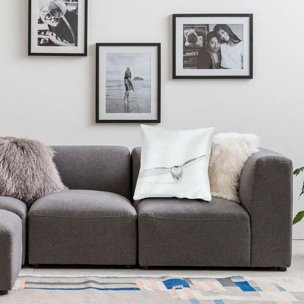 

todd-steitle-exnadmi-asc-unsplash pillow